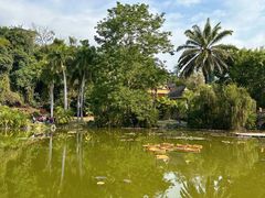 -中国科学院西双版纳热带植物园