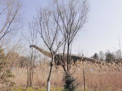 -自然谷恐龙园