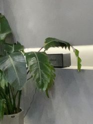 -老肖男士理发店