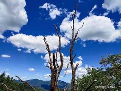 -北京西山国家森林公园