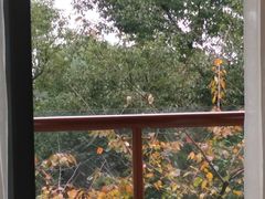 -天目湖御水温泉·度假酒店