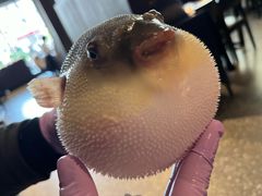 -永安鱼庄·镇江菜(东吴路店)