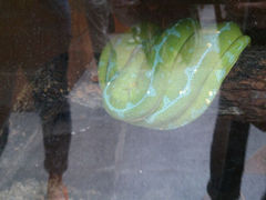 android_upload_pic-上海大自然野生昆虫馆