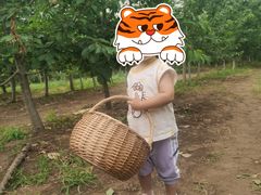 -意大利农场度假村