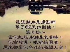 -好乐迪(张扬路八佰伴店)