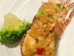 -广州万富希尔顿酒店-感趣自助餐厅·生蚝海鲜刺身