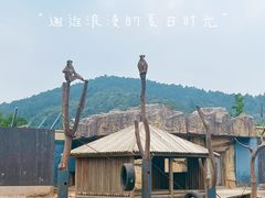 -上方山森林动物世界