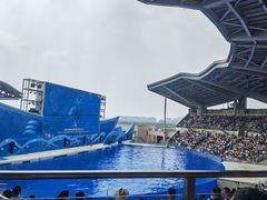 -上海海昌海洋公园