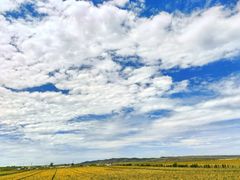 -敕勒川草原文化旅游区