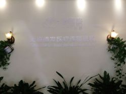-碧莲盛·不剃发植发