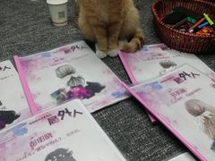 -悦河马家庭桌游剧本馆(朝阳门店)