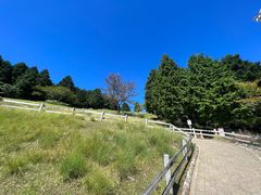 -神户市立六甲山牧场