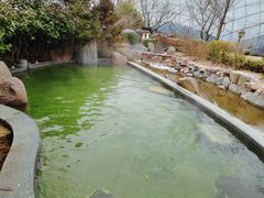 -麦积山温泉