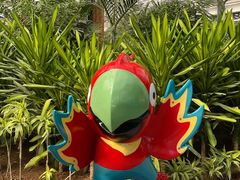 -南宫五洲植物乐园