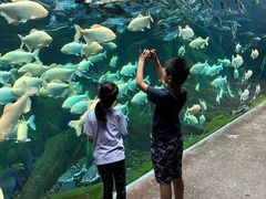 -哈尔滨波塞冬海底世界