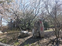 -尚庄度假村·庭台树下·户外烧烤·团建CS·轰趴营地(上庄水库店)