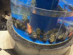 -新海渔港·胶东海鲜家常菜·家宴(奥体中心店)