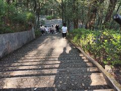 -神光山国家森林公园