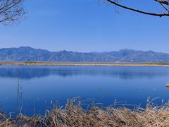 -野鸭湖国家湿地公园