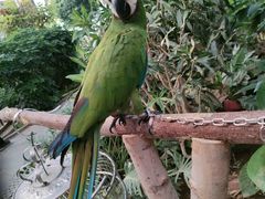 -南宫五洲植物乐园