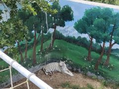 -西霞口神雕山野生动物世界