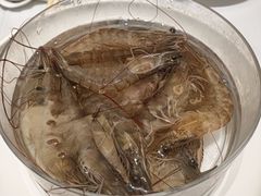 -红鼎豆捞·非遗鲍皇汤火锅(宝丰路店)