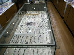 -广州宝岛眼镜武汉和光眼镜市场西区店