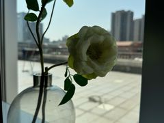 -1874融合西厨·观景餐厅(保利店)