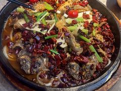 -老板恋上鱼(恒隆广场店)