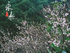 -福建天门山