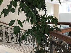 -上海市虹口区青少年活动中心(欧阳路)