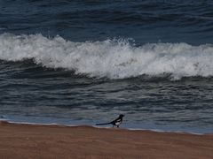 -日照灯塔风景区