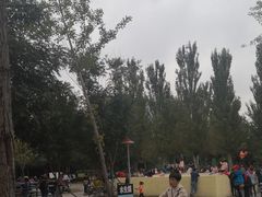 -长白岛森林公园