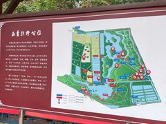 -西青郊野公园