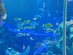 -海合安成都极地海洋公园