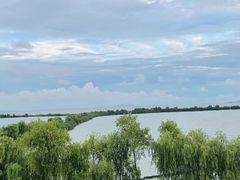 -合肥滨湖国家森林公园