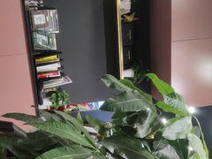 -海马体照相馆|大师(北京华贸中心店)