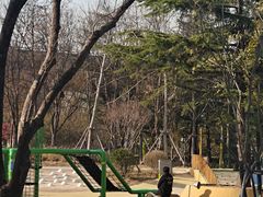 -李村大集