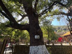 -缥缈峰景区