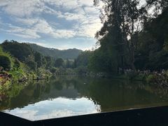-深圳仙湖植物园