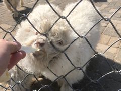 -长白岛森林公园