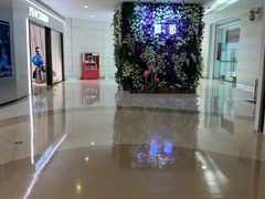 -深圳龙华星河COCO City(民治店)