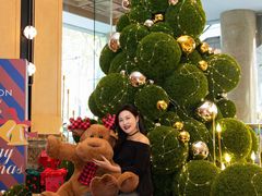 -南京金丝利喜来登酒店