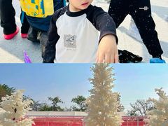-盈香心动乐园