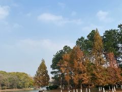 -白塘生态植物园