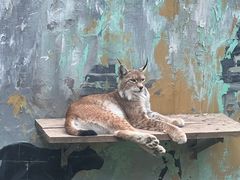 -青藏高原野生动物园