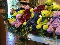 -济州岛泰迪熊博物馆