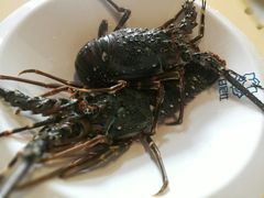 -甘尼仕印度餐厅爵士酒吧(阳春巷店)