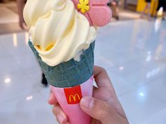 -麦当劳(SM城市广场店)