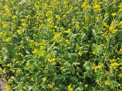 -长春公园(普阳街道)